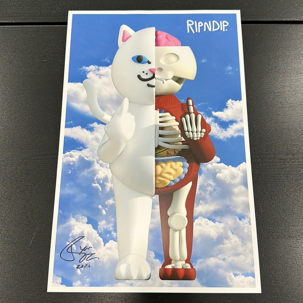 Rip N Dip Signed Anatomy Poster